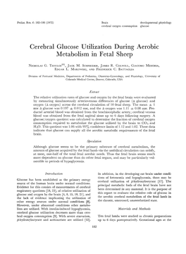 Cerebral Glucose Utilization During Aerobic Metabolism in Fetal Sheep