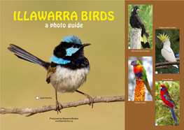 Produced by Illawarra Birders Birds of Paddocks, Parks and Gardens Creature on Earth