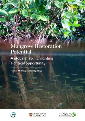 Mangrove Restoration Potential: a Global Map Highlighting a Critical Opportunity