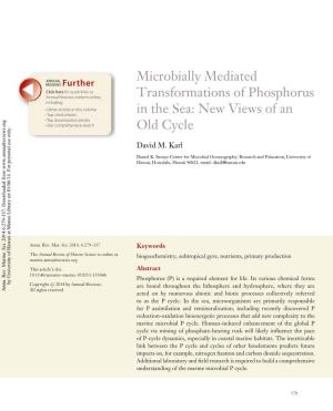 Microbially Mediated Transformations of Phosphorus in the Sea: New Views of an Old Cycle