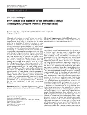 Prey Capture and Digestion in the Carnivorous Sponge Asbestopluma Hypogea (Porifera: Demospongiae)
