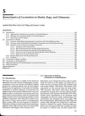 Biomechanics of Locomotion in Sharks, Rays, and Chimaeras