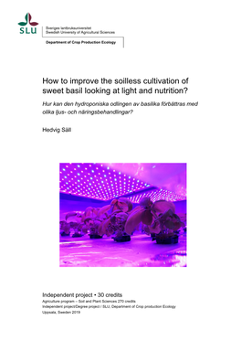 How to Improve the Soilless Cultivation of Sweet Basil Looking at Light and Nutrition?