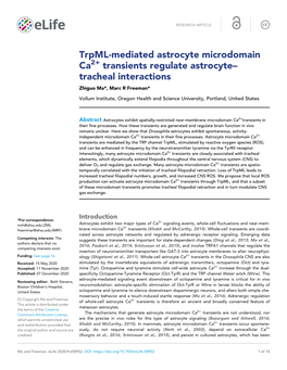 Trpml-Mediated Astrocyte Microdomain Ca2+ Transients Regulate Astrocyte– Tracheal Interactions Zhiguo Ma*, Marc R Freeman*