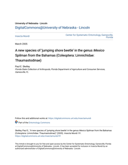 In the Genus Mexico Spilman from the Bahamas (Coleoptera: Limnichidae: Thaumastodinae)