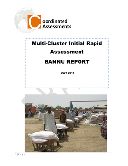 Multi-Cluster Initial Rapid Assessment BANNU REPORT