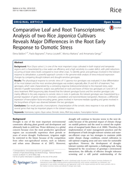 Comparative Leaf and Root Transcriptomic Analysis of Two Rice