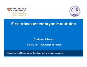First Trimester Embryonic Nutrition