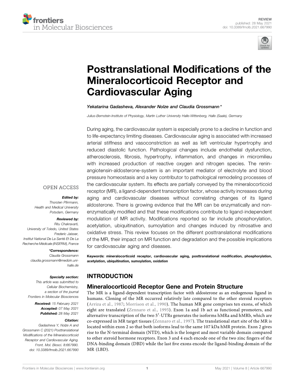 Posttranslational Modifications of the Mineralocorticoid Receptor And