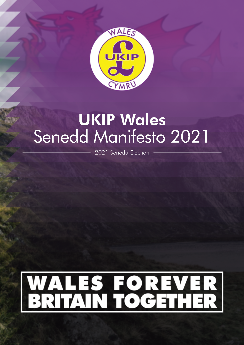 Senedd Manifesto 2021 2021 Senedd Election