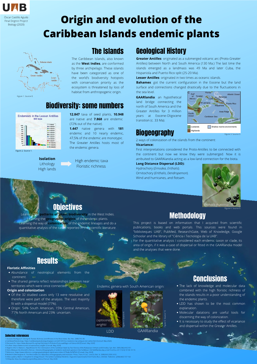 Origen I Evolució Dels Endemismes Vegetals De Les Illes Del Carib