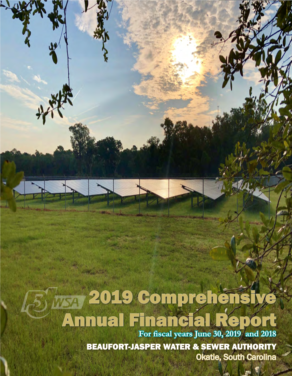 2019 Comprehensive Annual Financial Report