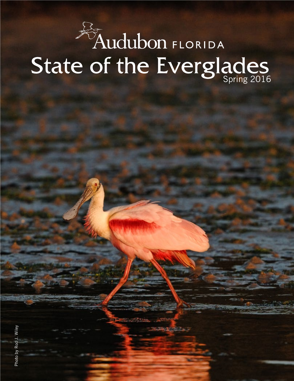 State of the Everglades Spring 2016
