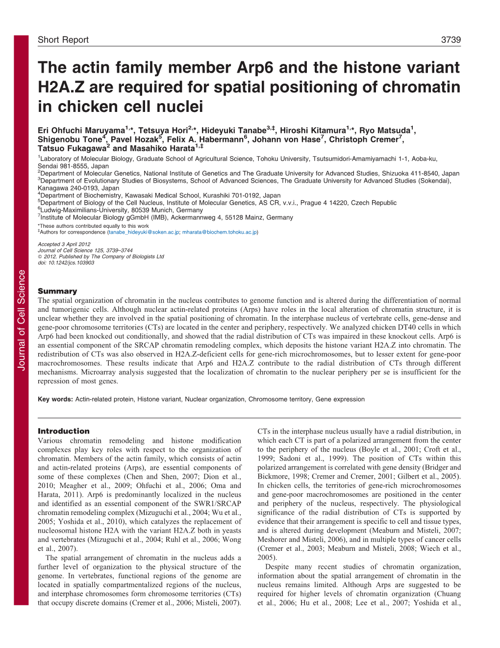 The Actin Family Member Arp6 and the Histone Variant H2A.Z Are Required