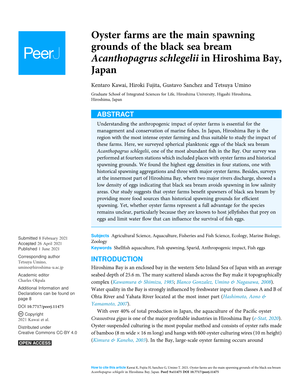 Oyster Farms Are the Main Spawning Grounds of the Black Sea Bream Acanthopagrus Schlegelii in Hiroshima Bay, Japan