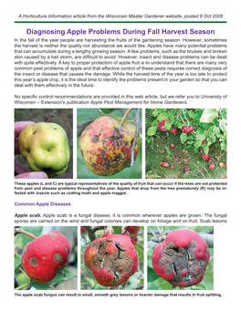 Diagnosing Apple Problems During Fall Harvest Season in the Fall of the Year People Are Harvesting the Fruits of the Gardening Season