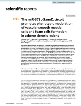 The Mir-378C-Samd1 Circuit Promotes Phenotypic Modulation of Vascular Smooth Muscle Cells and Foam Cells Formation in Atheroscle