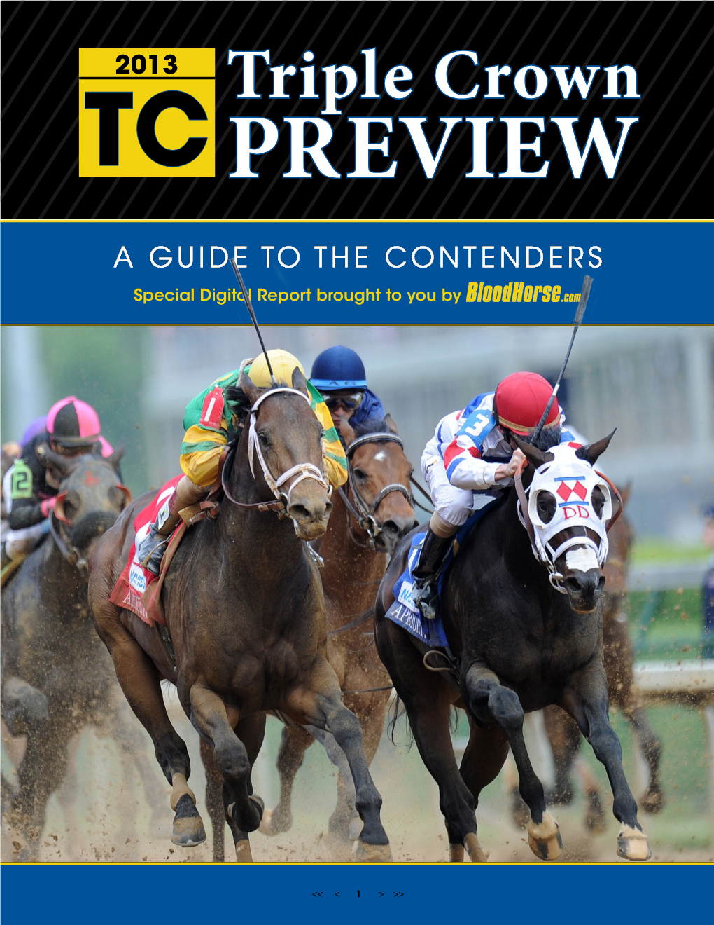 Triple Crown TC PREVIEW