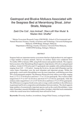 Gastropod and Bivalve Molluscs Associated with the Seagrass Bed at Merambong Shoal, Johor Straits, Malaysia