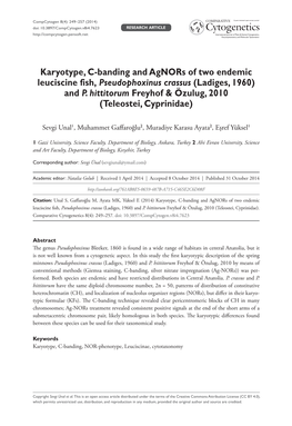 Karyotype, C-Banding and Agnors of Two Endemic Leuciscine Fish, Pseudophoxinus Crassus (Ladiges, 1960) and P