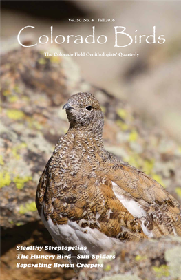 Colorado Birds the Colorado Field Ornithologists’ Quarterly