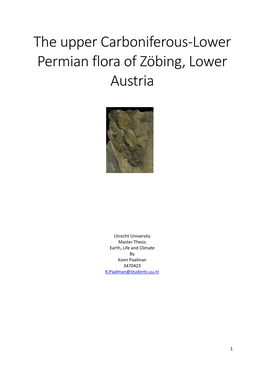 The Upper Carboniferous-Lower Permian Flora of Zöbing, Lower Austria