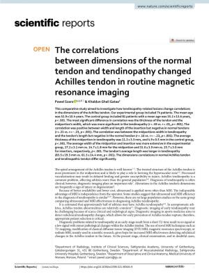 The Correlations Between Dimensions of the Normal Tendon And