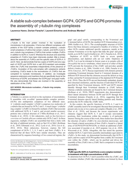 A Stable Sub-Complex Between GCP4, GCP5 and GCP6 Promotes The