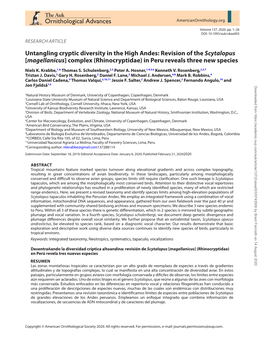 Revision of the Scytalopus [Magellanicus] Complex (Rhinocryptidae) in Peru Reveals Three New Species Niels K