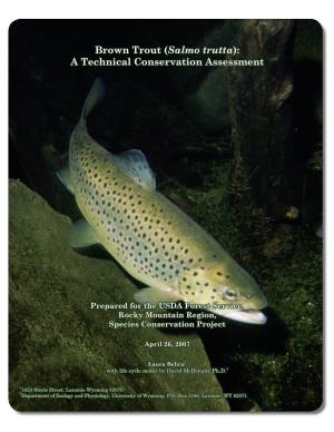 Brown Trout (Salmo Trutta): a Technical Conservation Assessment