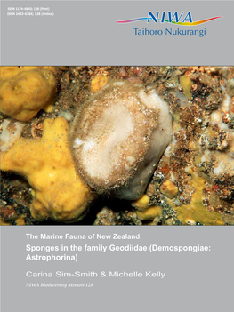 Sponges in the Family Geodiidae (Demospongiae: Astrophorina)