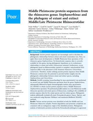 Middle Pleistocene Protein Sequences from the Rhinoceros Genus Stephanorhinus and the Phylogeny of Extant and Extinct Middle/Late Pleistocene Rhinocerotidae