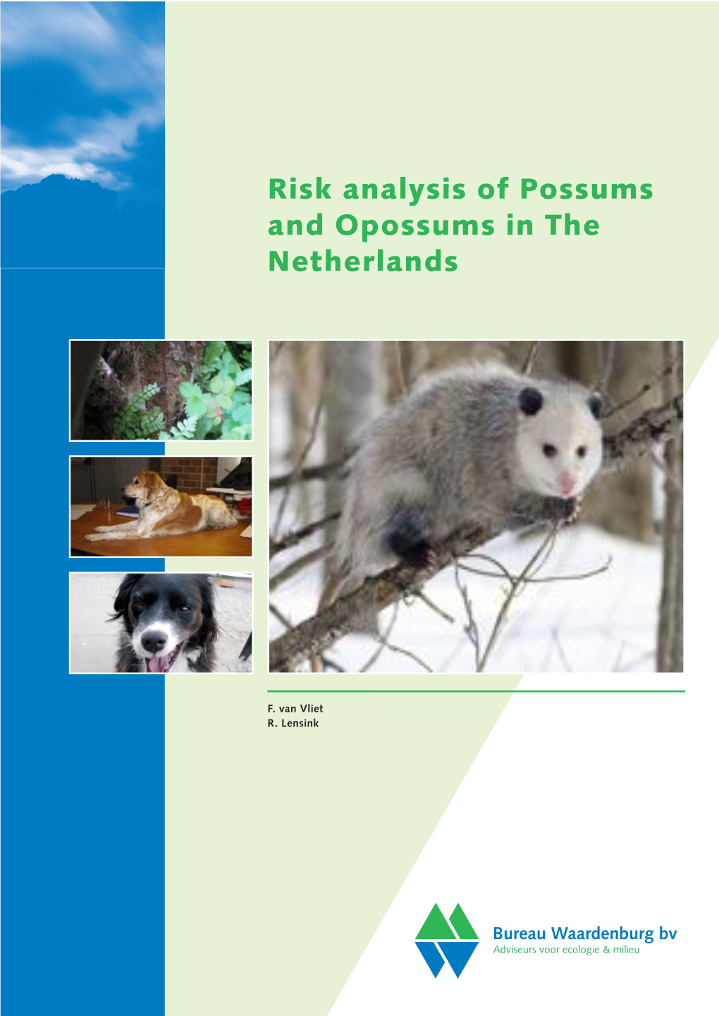 Risk Analysis of Possums and Opossums in the Netherlands