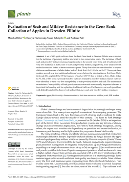 Evaluation of Scab and Mildew Resistance in the Gene Bank Collection of Apples in Dresden-Pillnitz