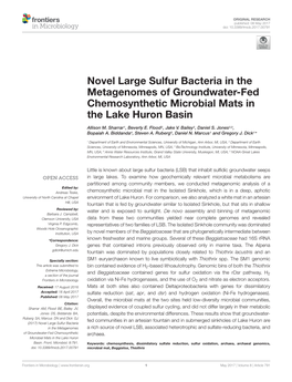 Novel Large Sulfur Bacteria in the Metagenomes of Groundwater-Fed Chemosynthetic Microbial Mats in the Lake Huron Basin
