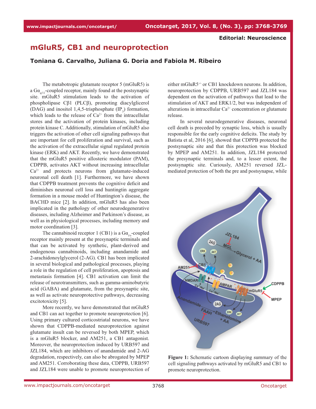 Mglur5, CB1 and Neuroprotection