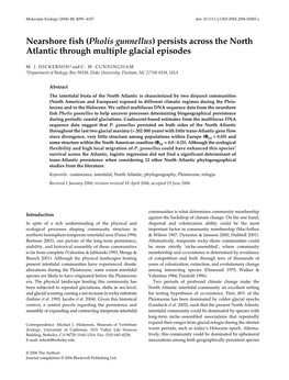 Pholis Gunnellus) Persists Across the North Atlantic Through Multiple Glacial Episodes