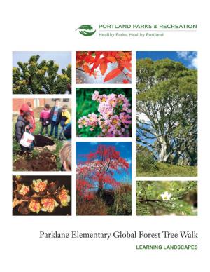 Parklane Elementary Global Forest Tree Walk