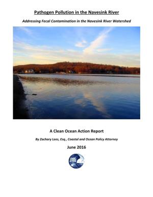 Pathogen Pollution in the Navesink River