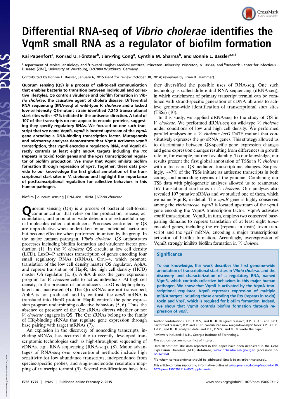 Differential RNA-Seq of Vibrio Cholerae Identifies the Vqmr Small RNA As a Regulator of Biofilm Formation