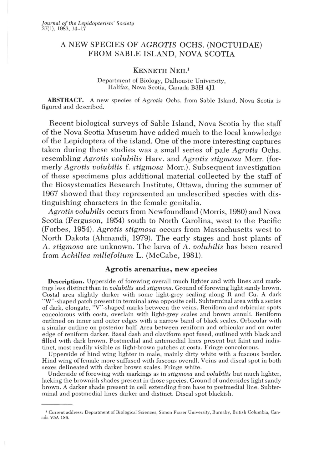 A New Species of Agrotis Ochs. (Noctuidae) from Sable Island, Nova Scotia