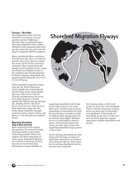 Shorebird Migration Flyways