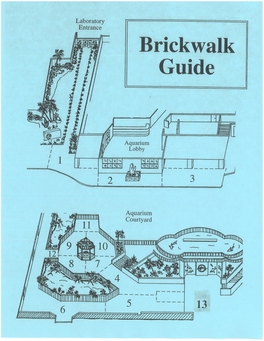 Brick Book 2015 with Guide.Pdf