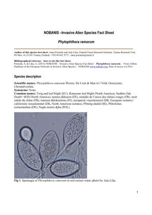 Invasive Alien Species Fact Sheet Phytophthora Ramorum