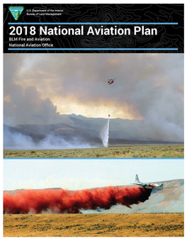 National Aviation Plan