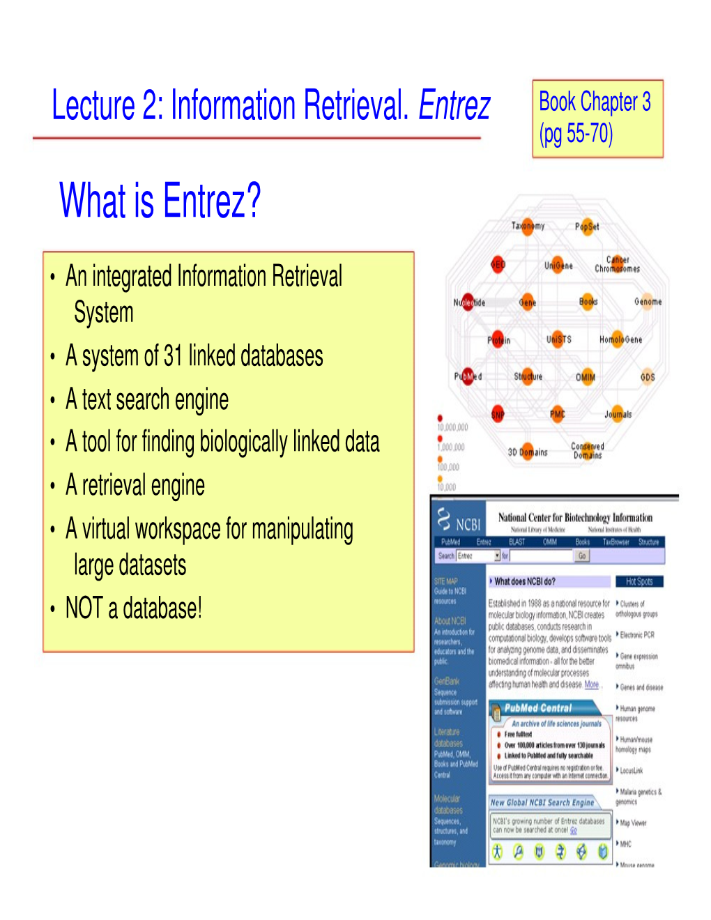 What Is Entrez?