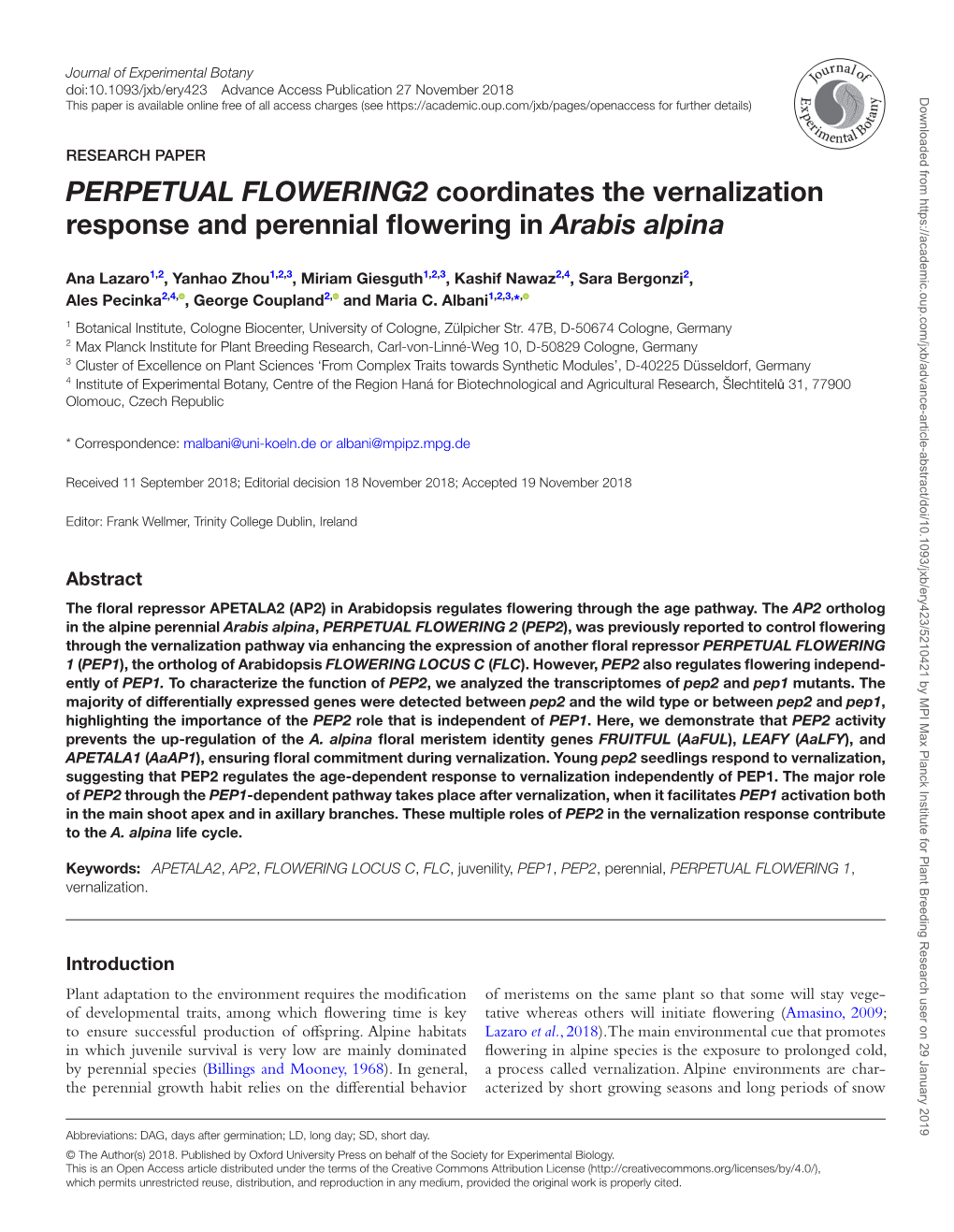 PERPETUAL FLOWERING2 Coordinates the Vernalization Response and Perennial Flowering in Arabis Alpina