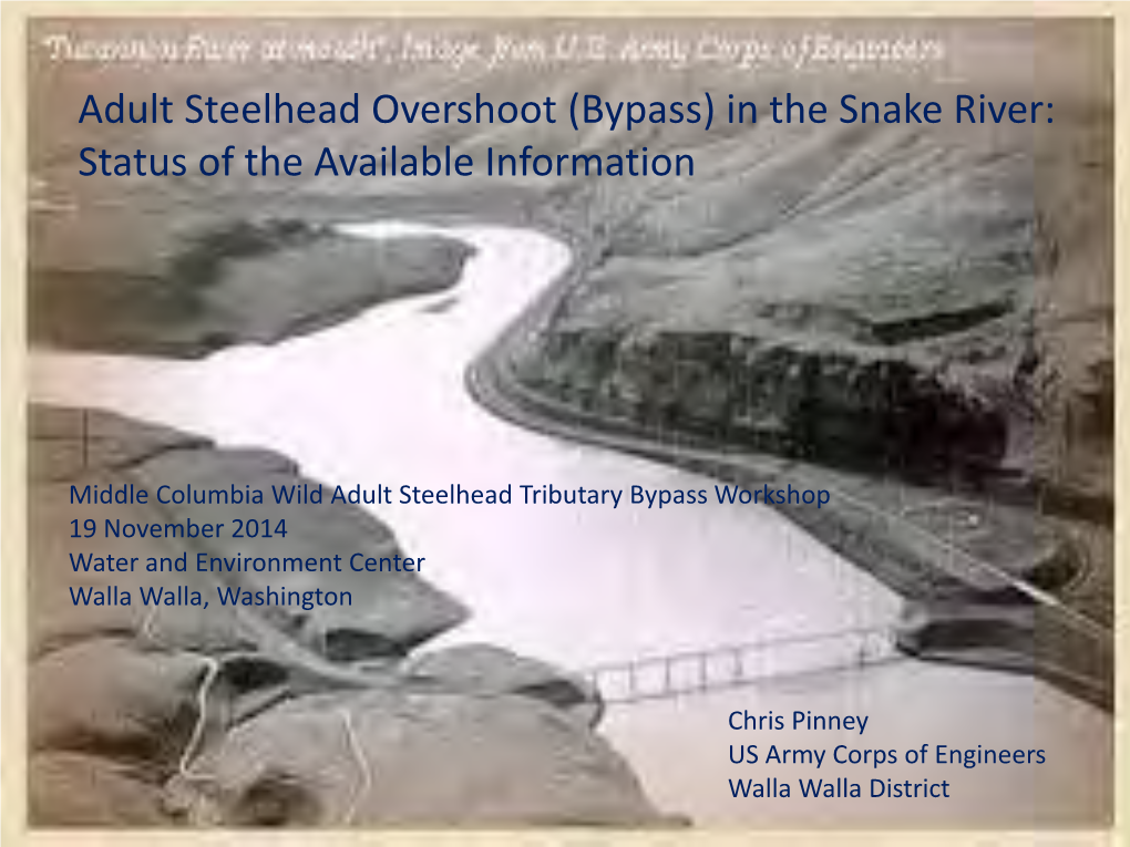 Adult Steelhead Overshoot (Bypass) in the Snake River: Status of the Available Information