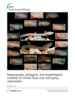 Biogeography, Phylogeny, and Morphological Evolution of Central Texas Cave and Spring Salamanders