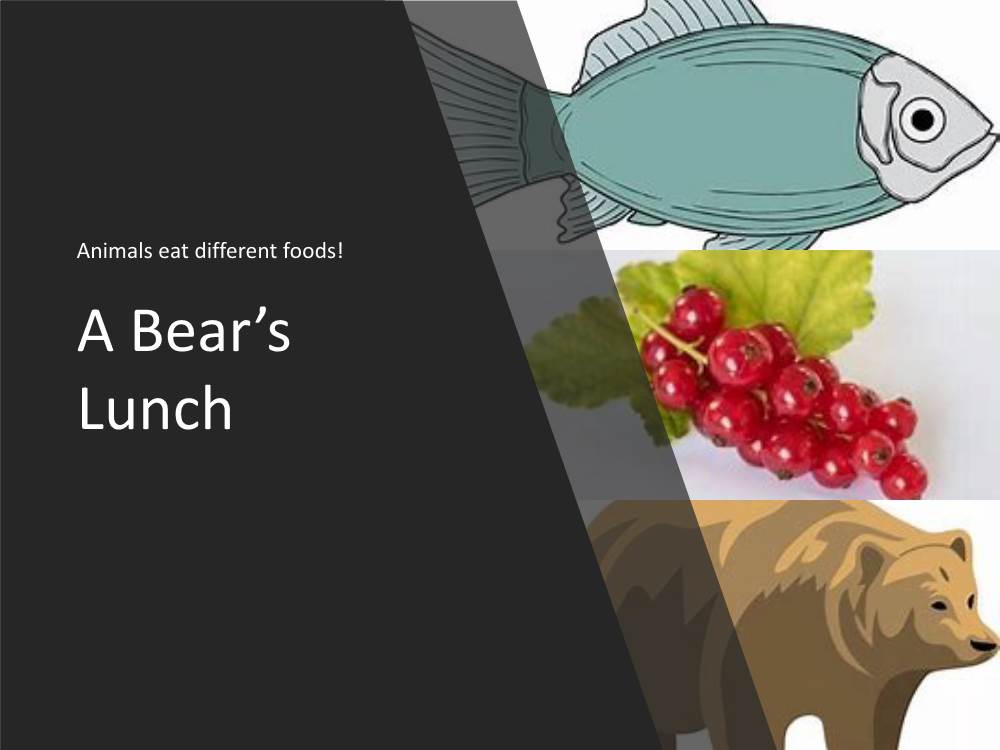 A Bear's Lunch